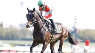 【本日の注目ポイント】中山でスプリンターズS　凱旋門賞に日本馬2頭参戦！