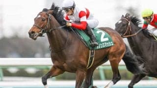 【スプリンターズS予想】AIが出した結論は、懸念材料が少ない実績馬に