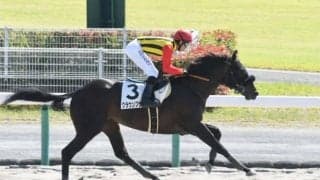 【中京4R新馬戦結果】クラウンプライドが6馬身差突き放して新馬勝ち