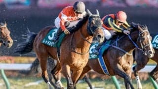 【大井・東京盃枠順確定】レッドルゼルは1枠1番、リュウノユキナは4枠5番