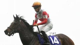 【スプリンターズS 13時時点オッズ】ダノンスマッシュが単勝3.0倍で1番人気、レシステンシアが3.8倍で続く