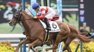 【中山5R新馬戦結果】ダノンティアラが押し切ってデビュー勝ち