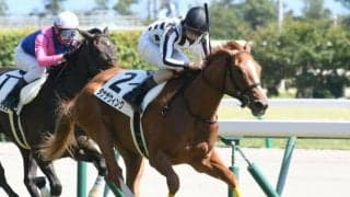 【中京5R新馬戦結果】エピファネイア産駒タナザウィングが内から抜け出す