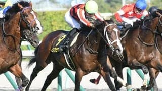 【ポートアイランドS結果】プリンスリターンが接戦を制す、加用師は600勝達成