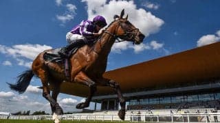 【凱旋門賞／JRA発売オッズ】クロノジェネシスが3.5倍で1番人気　4.3倍の2番人気にディープ産駒・スノーフォール