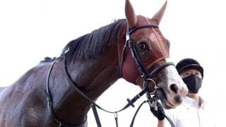 【スプリンターズS】枠入り不良のビアンフェは今年も発走調教再審査へ