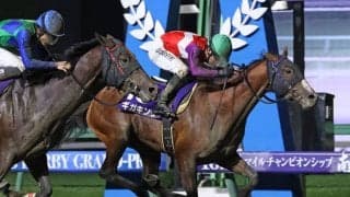 【盛岡・ダービーグランプリ結果】キングヘイロー産駒ギガキングが叩き合いを制す