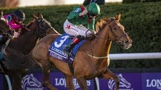 【凱旋門賞注目馬】日本馬の前に立ちはだかるフランスの名手と女傑の強力タッグ