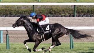 【茨城新聞杯】ドゥラメンテ産駒 ヴァリアメンテが3勝目