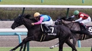 【サフラン賞】シルバーステート産駒 ウォーターナビレラがデビュー2連勝