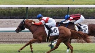 【新馬/中山5R】ドゥラメンテ産駒 ダノンティアラがデビューV