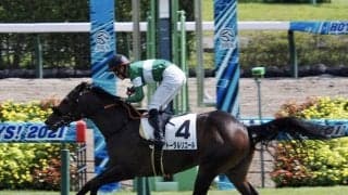 【新馬/中山3R】シルバーステート産駒 トータルリコールがデビューV