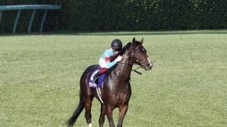 【スプリンターズS】福永「想像を超えた走り」ピクシーナイトがG1初制覇