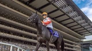 秋の東京・阪神・新潟開幕 注目はGI前哨戦の毎日王冠と京都大賞典/今週の競馬界の見どころ