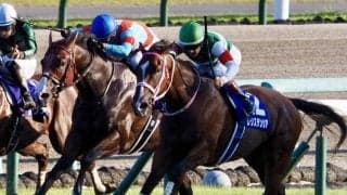 【スプリンターズS】ルメール「ちょっと忙しかった」レース後ジョッキーコメント