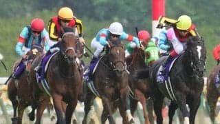 【毎日王冠登録馬】シュネルマイスターなど13頭