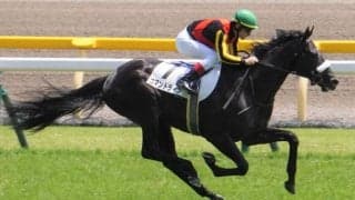 【サウジアラビアRC登録馬】コマンドラインなど8頭