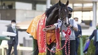 【スプリンターズS】売上は145億5807万6900円で昨年からおよそ2.8億円の増加