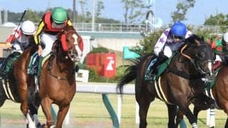 【シリウスS】売上は35億1287万5900円で昨年からおよそ1.3億円の増加