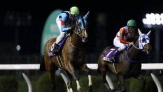 【大井・レディスプレリュード枠順確定】ウェルドーンは6枠6番、テオレーマは3枠3番