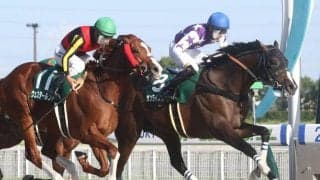 【シリウスS】サンライズホープがしぶとく粘りこむ！重賞初制覇