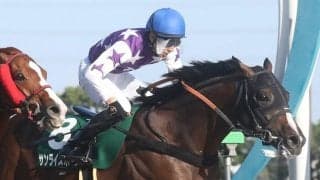 【シリウスS】幸「上でも走ってくれる」サンライズホープが重賞初V