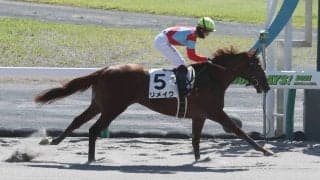 【新馬/中京3R】リメイクが8馬身差圧勝