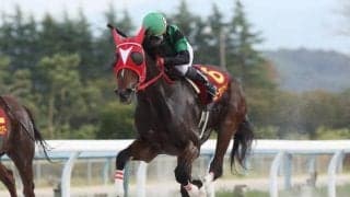 【金沢・お松の方賞結果】ニュータウンガールが抜け出して重賞7勝目