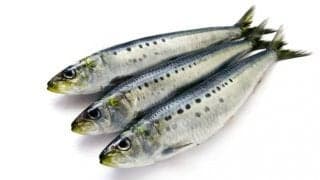 いわしの驚くべき効果効能とおいしい食べ方