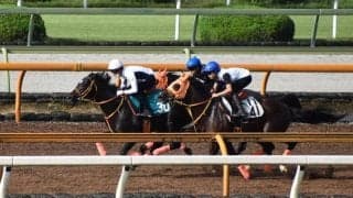 5億1000万円のディープ産駒 ショウナンアデイブがデビュー/関西馬メイクデビュー情報