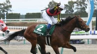 【毎日王冠予想】AIが軸に指名したのは中穴のスピードマイラー！