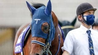 【毎日王冠想定騎手】シュネルマイスターはC.ルメール騎手、ダノンキングリーは川田将雅騎手