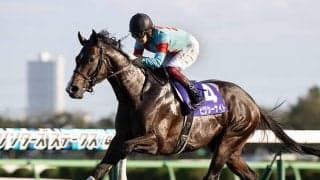 1200m戦への適性あり＆晩成傾向を感じさせるタイプが目につくモーリス産駒