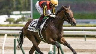 【サウジアラビアRC展望】2歳の出世レース、あの馬の連勝を期待したい
