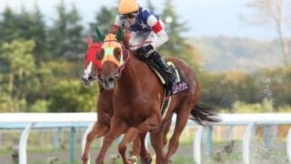 【門別競馬情報】遠征馬ら大活躍の流れに乗って金沢でも重賞制すか門別2歳勢！ エンリル＆オンストロン「第23回兼六園ジュニアカップ」/地方競馬情報