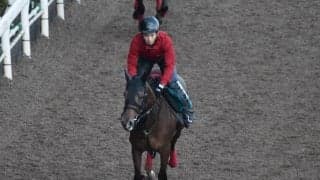 ヤマニンループなど、先週のゲート試験/栗東トレセンニュース