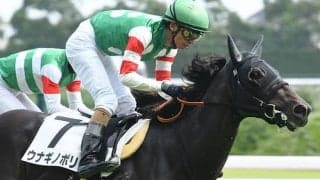 【サウジアラビアRC】新種牡馬ドレフォン産駒の珍名馬「ウナギノボリ」に注目