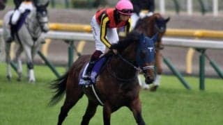 【毎日王冠予想オッズ】3歳馬シュネルマイスターが予想1番人気