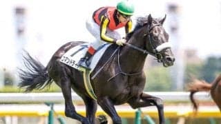 【サウジアラビアRC予想オッズ】コマンドラインが予想1番人気、ステルナティーアが続く