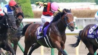 【毎日王冠展望】開幕週の高速馬場でマイラーが活躍しやすいレース