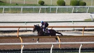 ダノンザキッド、富士S2週前追い切り速報/栗東トレセンニュース