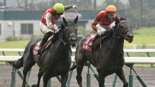 【菊花賞想定】神戸新聞杯覇者ステラヴェローチェ、セントライト記念覇者アサマノイタズラなど