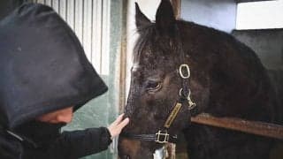 27歳で天国へ…伝説の鬼脚“ブーちゃん”ことブロードアピールの意外な素顔