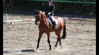 伝統の定期戦　一致団結してつかんだ13連覇