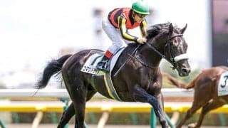 【サウジアラビアRC「見逃せない調教師」ベスト3】好走率も回収率も高い、馬券ファンにとって信頼できるのはあの調教師！