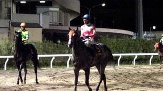 【東京盃】柴田善「前残りになってしまった」リュウノユキナは人気に応えられず