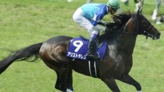 【京都大賞典展望】今年は阪神開催、あの馬の巻き返しを期待したい