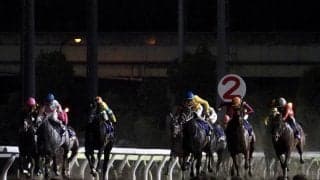 【東京盃】ルメール「次はチャンス」レース後ジョッキーコメント