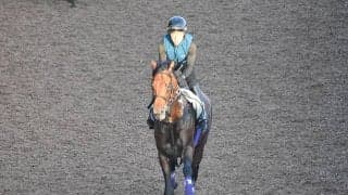 【京都大賞典「見逃せない調教師」ベスト3】複勝率は驚異の77.1％！ 阪神芝2400mで絶対に外せない調教師は？