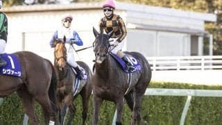 【次走】モズスーパーフレアは香港スプリントを視野に